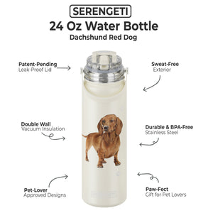 Dachshund red Water Bottle
