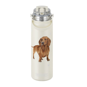 Dachshund red Water Bottle