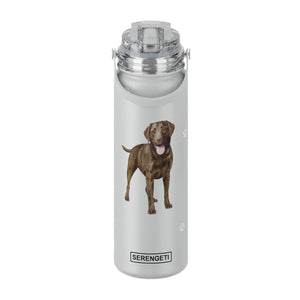 Labrador chocolate Water Bottle