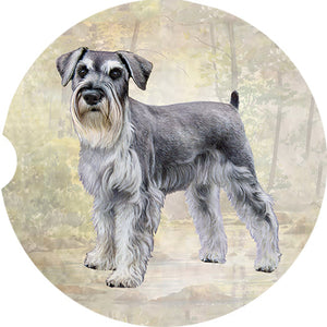 Schauzer Standing car coaster