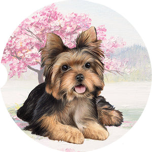 Yorkshire Terrier Sitting car coaster