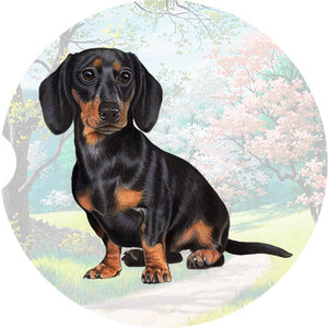 Dachshund Black and tan Standing car coaster