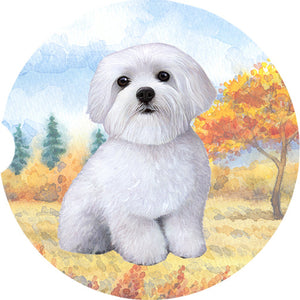 Maltese Standing car coaster