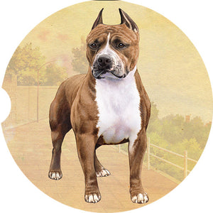 Pit Bull Standing car coaster