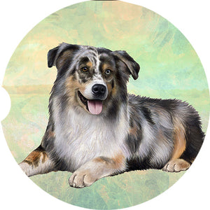 Australian Shepherd Laying car coaster