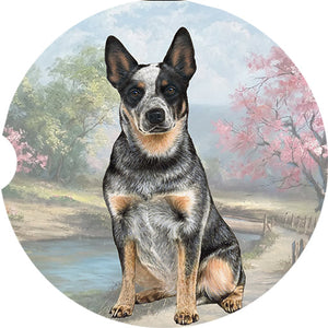 Australian Cattle Dog Sitting car coaster