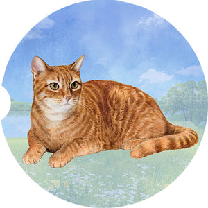 Tabby Orange car coaster