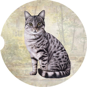 Tabby Silver car coaster