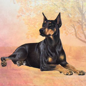 Doberman Square Coaster