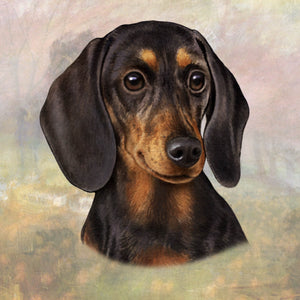 Dachshund Black Square Coaster
