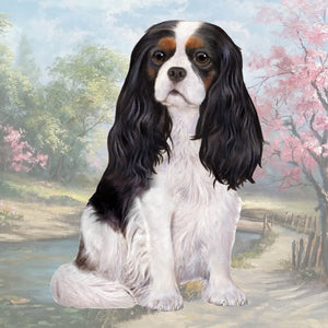 Cavalier Tri-color Square Coaster