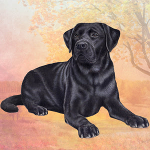 Labrador Black Square Coaster
