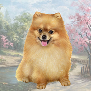 Pomeranian Square Coaster