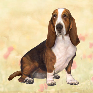 Basset Hound Square Coaster