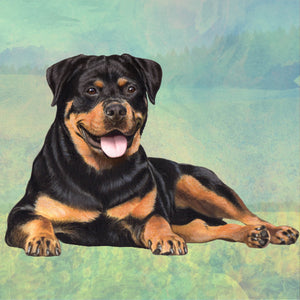 Rottweiler Square Coaster