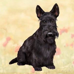 Scottish Terrier Square Coaster