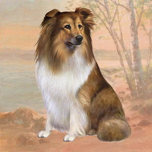 Sheltie Square Coaster