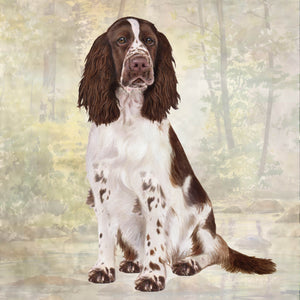 Springer Spaniel Square Coaster
