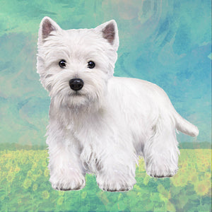 Wesh Highland Terrier Square Coaster