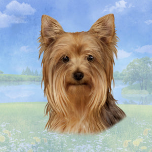 Yorkie Square Coaster