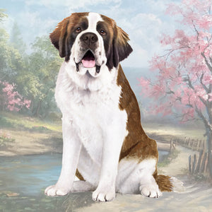 St. Bernard Square Coaster