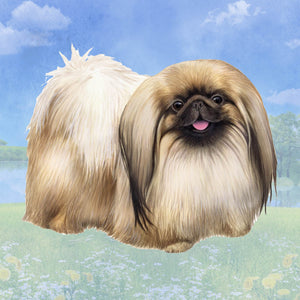 Pekingese Square Coaster