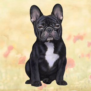 French Bulldog Black Square Coaster