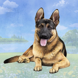 German Shepherd Square Coaster