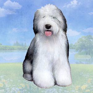 Old English Sheepdog Square Coaster