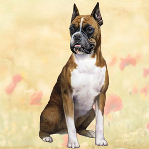 Boxer Cropped Square Coaster