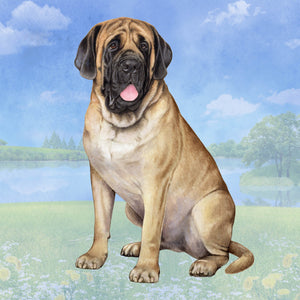 English Mastiff Square Coaster