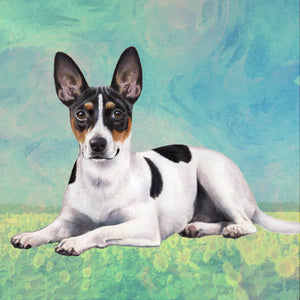 Rat Terrier Square Coaster