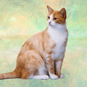 Orange and White Cat Square Coaster