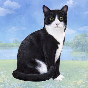 Black & White Square Coaster