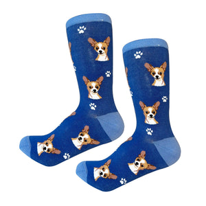 Chihuahua fawn Socks