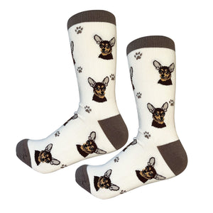 Chihuahua black Socks
