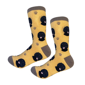 Labradoodle black Socks