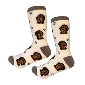 Dachshund black Socks