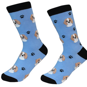 Cavalier King Charles Socks -200 Needle Count-Cotton Socks- Life Like Detail of Cavalier King Charles - Unisex, One Size Fits Most