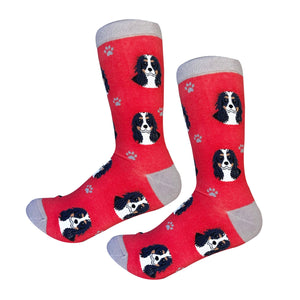 Cavalier King Charles Tri Colorï¿½ Socks
