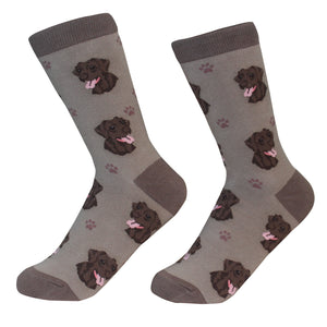 Chocolate Lab Socks -200 Needle Count-Cotton Socks- Life Like Detail of Chocolate Lab - Unisex, One Size Fits Most