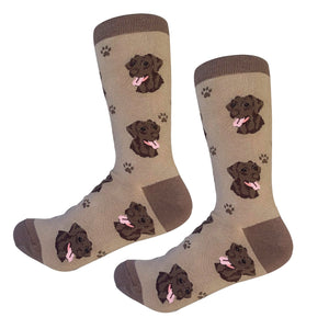 Labrador chocolate Socks