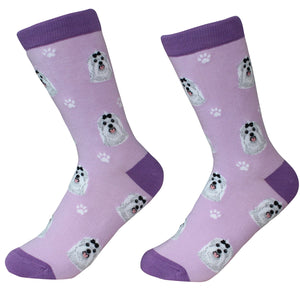 Maltese Socks -200 Needle Count-Cotton Socks- Life Like Detail of Maltese - Unisex, One Size Fits Most