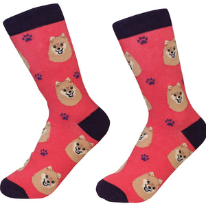 Pomeranian Socks -200 Needle Count-Cotton Socks- Life Like Detail of Pomeranian - Unisex, One Size Fits Most