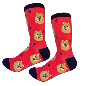 Pomeranian Socks