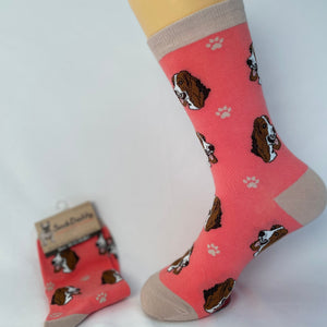 Basset Hound Socks