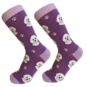 Bichon Frise Socks -200 Needle Count-Cotton Socks- Life Like Detail of Bichon Frise - Unisex, One Size Fits Most
