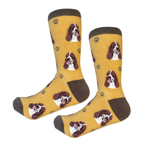 Springer Spaniel Socks