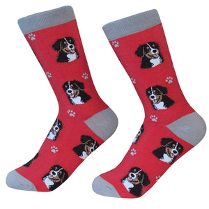 Bernese Mountain Dog Socks -200 Needle Count-Cotton Socks- Life Like Detail of Bernese Mountain Dog - Unisex, One Size Fits Most