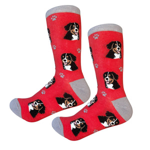 Bernese Mt. Dog Socks